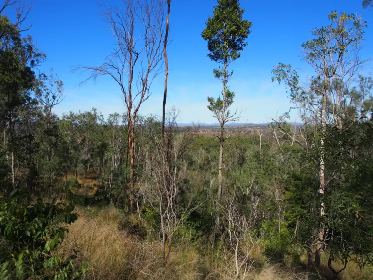 Second view of Homely rural property listing, LOT 39 NIELSONS ROAD, Good Night QLD 4671