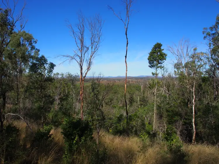 Third view of Homely rural property listing, LOT 39 NIELSONS ROAD, Good Night QLD 4671