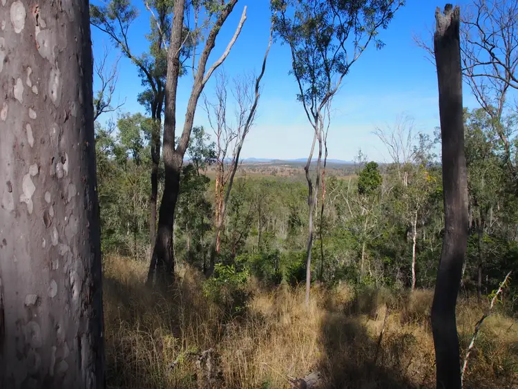 Fifth view of Homely rural property listing, LOT 39 NIELSONS ROAD, Good Night QLD 4671