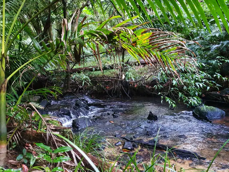 Fourth view of Homely rural property listing, 93 Chelmans Road, Eungella QLD 4757