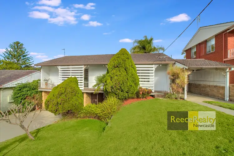 13 Greystone Street, North Lambton NSW 2299