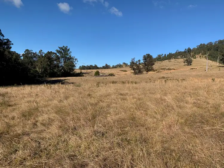 Sixth view of Homely rural property listing, Lot 3 Majors Creek Road, Dungog NSW 2420