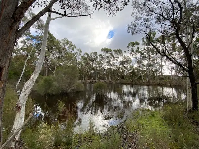 Main view of Homely rural property listing, 357 Mogo Road Oallen via, Goulburn NSW 2580