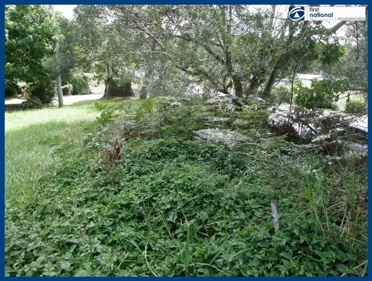 Fifth view of Homely land listing, 2356 Springbrook Road, Springbrook QLD 4213