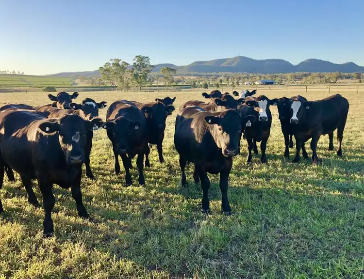 Fifth view of Homely rural property listing, 2 Yarrawa Road, Denman NSW 2328