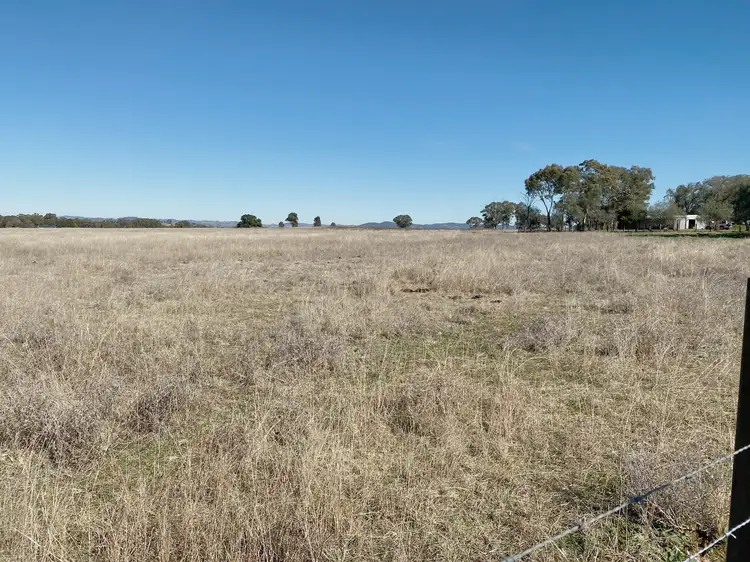 Main view of Homely rural property listing, 171 Black Lead Lane, Gulgong NSW 2852