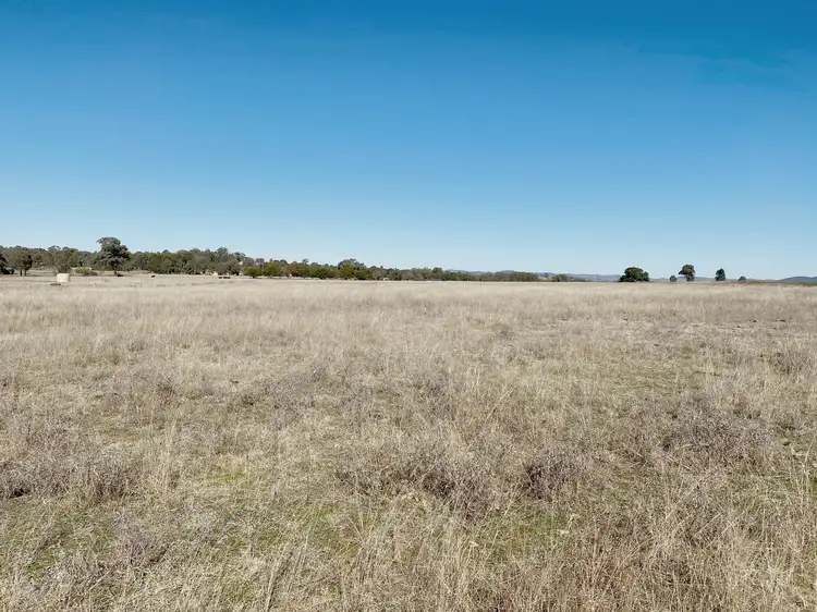 Second view of Homely rural property listing, 171 Black Lead Lane, Gulgong NSW 2852