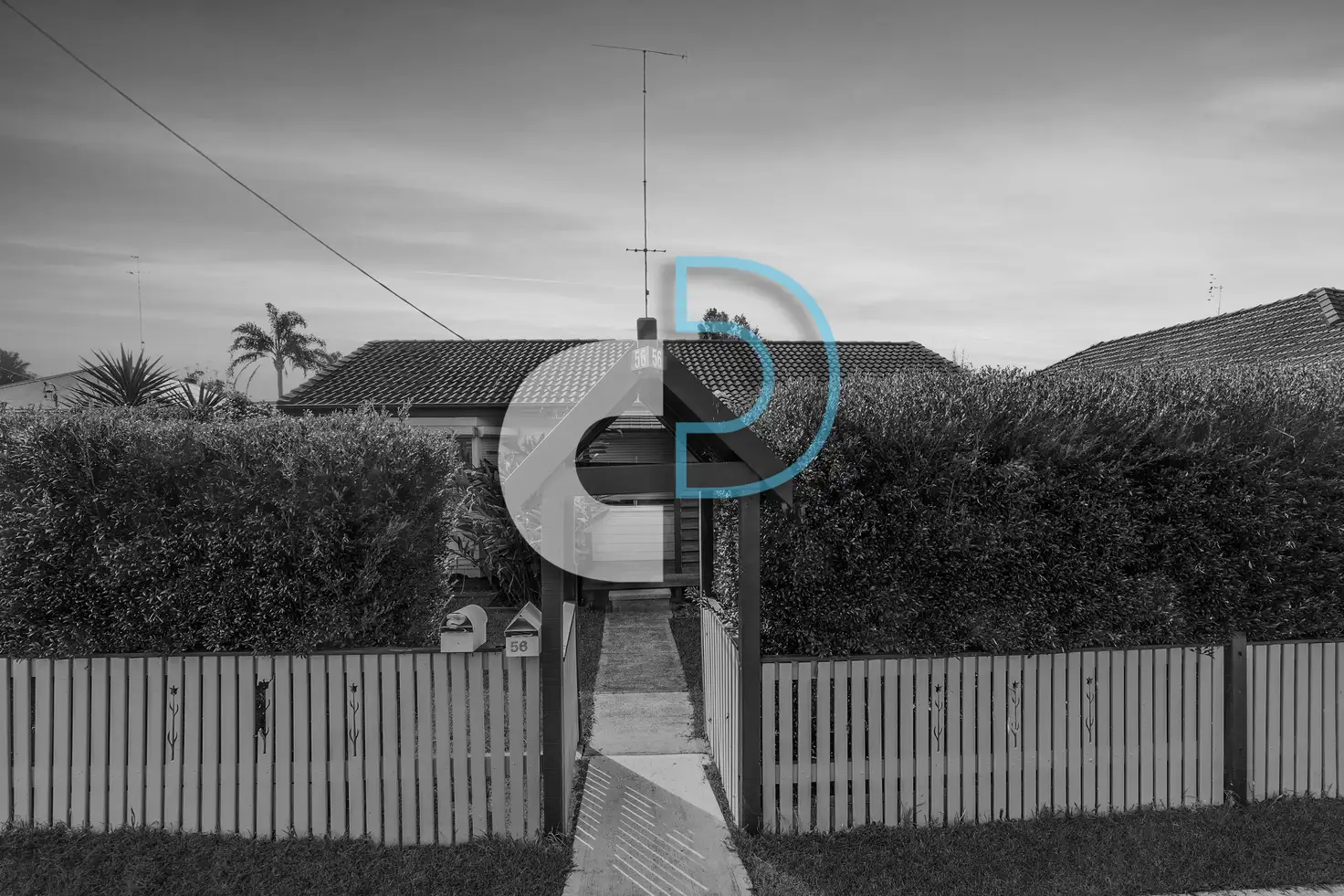 Main view of Homely house listing, 56 Croudace Road, Elermore Vale NSW 2287