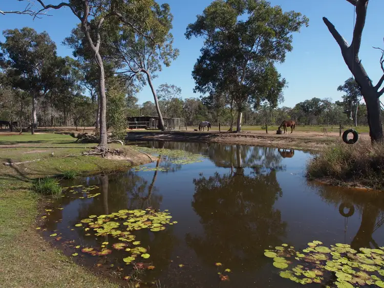 Fourth view of Homely rural property listing, 1547 BUXTON ROAD, Buxton QLD 4660