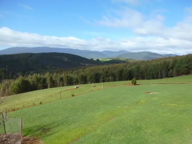 Second view of Homely house listing, 517 Sledge Track, Scottsdale TAS 7260