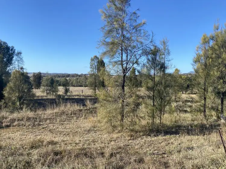 Sixth view of Homely rural property listing, 25 Westwood Road, Gungal NSW 2333