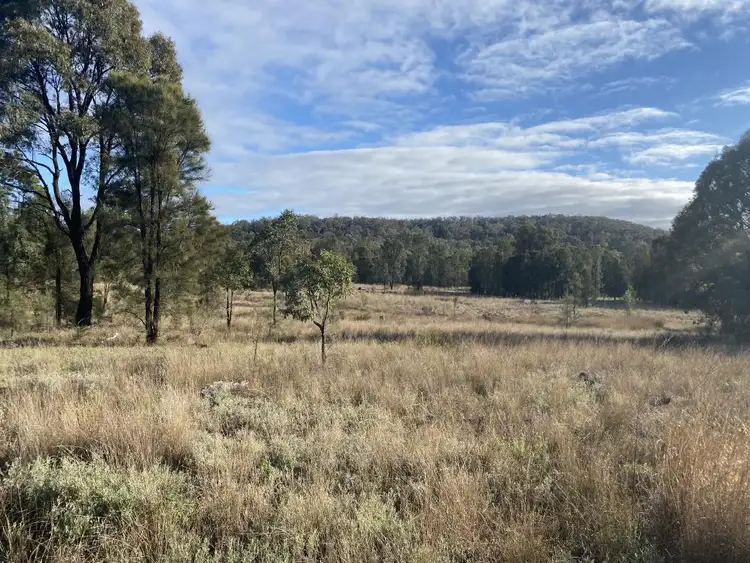 Seventh view of Homely rural property listing, 25 Westwood Road, Gungal NSW 2333