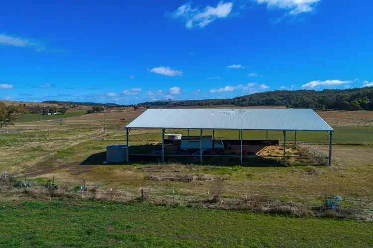 Seventh view of Homely rural property listing, 79 Montaza Road, Gulgong NSW 2852