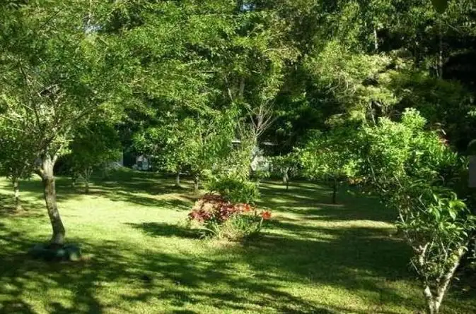 Fifth view of Homely rural property listing, 22 Sonny Boy Creek Road, Eungella QLD 4757