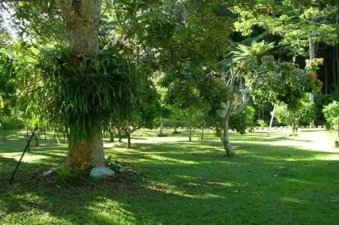 Sixth view of Homely rural property listing, 22 Sonny Boy Creek Road, Eungella QLD 4757