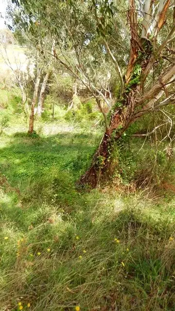 Fifth view of Homely land listing, LOT 367, 6 Bedlam Flat Road, Delamere SA 5204