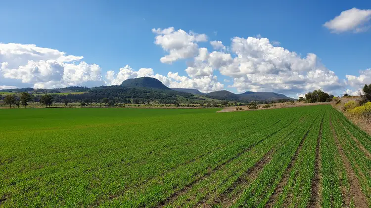 Third view of Homely rural property listing, LOT 315 Cnr Freestone Road & Peters Road, Freestone QLD 4370