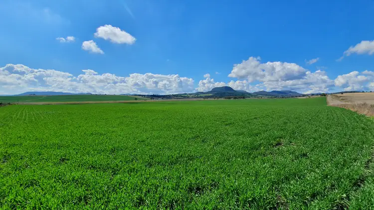 Fourth view of Homely rural property listing, LOT 315 Cnr Freestone Road & Peters Road, Freestone QLD 4370