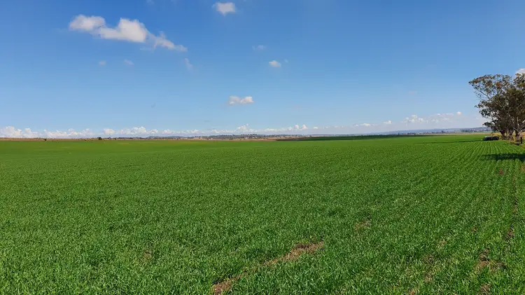 Sixth view of Homely rural property listing, LOT 315 Cnr Freestone Road & Peters Road, Freestone QLD 4370