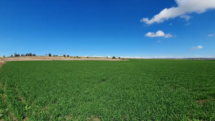 Seventh view of Homely rural property listing, LOT 315 Cnr Freestone Road & Peters Road, Freestone QLD 4370