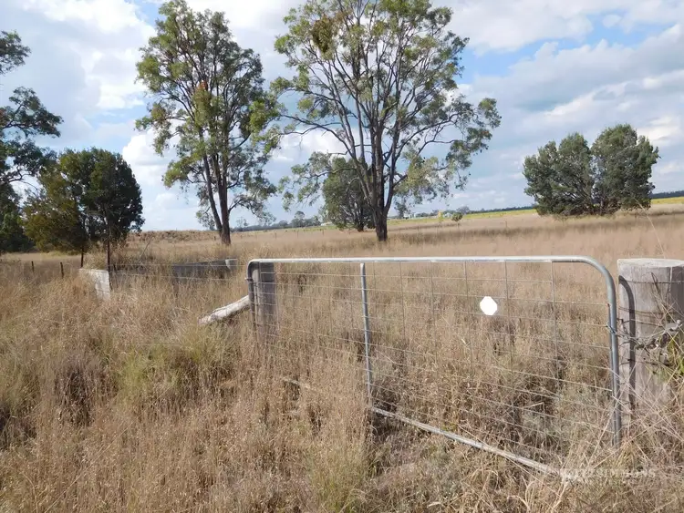 Second view of Homely rural property listing, Lot 1 Ducklo School Road, Ducklo, Dalby QLD 4405
