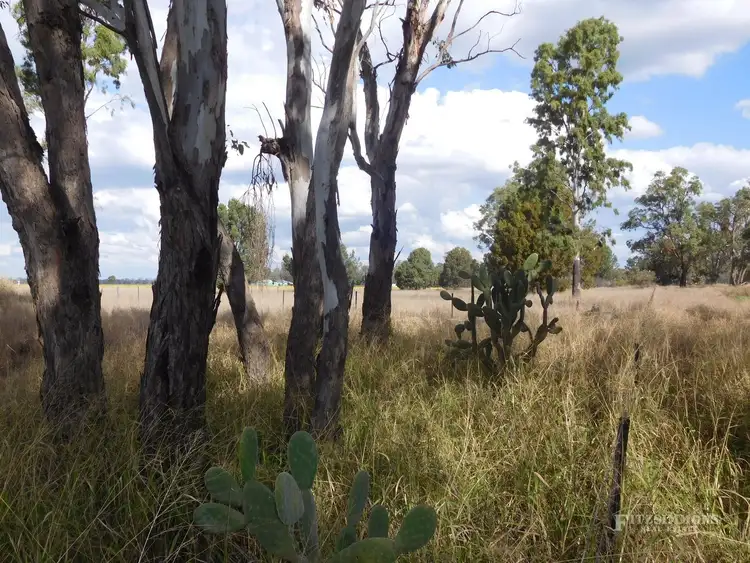 Third view of Homely rural property listing, Lot 1 Ducklo School Road, Ducklo, Dalby QLD 4405