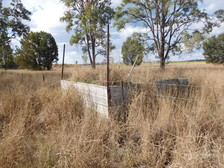 Fifth view of Homely rural property listing, Lot 1 Ducklo School Road, Ducklo, Dalby QLD 4405