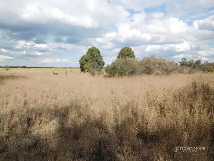 Seventh view of Homely rural property listing, Lot 1 Ducklo School Road, Ducklo, Dalby QLD 4405