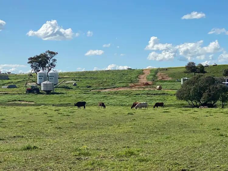 Main view of Homely land listing, LOT 59 Osborn RD, York WA 6302