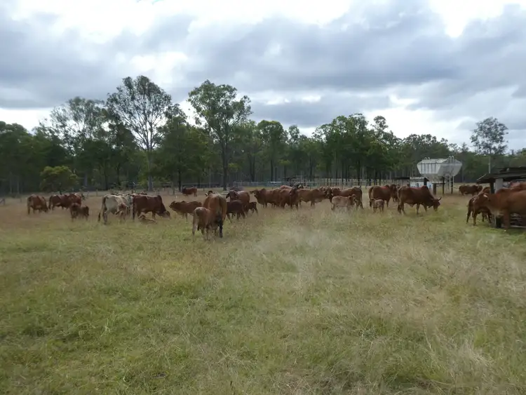 Sixth view of Homely rural property listing, 852 Old Gayndah Road, Dunmora QLD 4650
