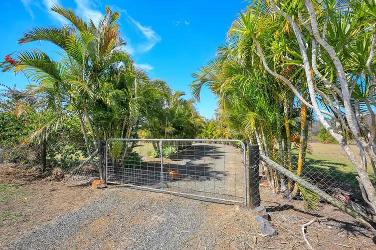 Third view of Homely rural property listing, 93 Rohdmanns Road..., South Kolan QLD 4670