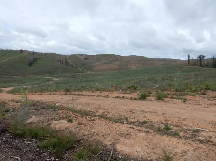 Third view of Homely rural property listing, 4494 TUMBARUMBA ROAD, Humula NSW 2652