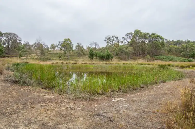 Second view of Homely rural property listing, LOT 16 Tweeney Road, Linton VIC 3360
