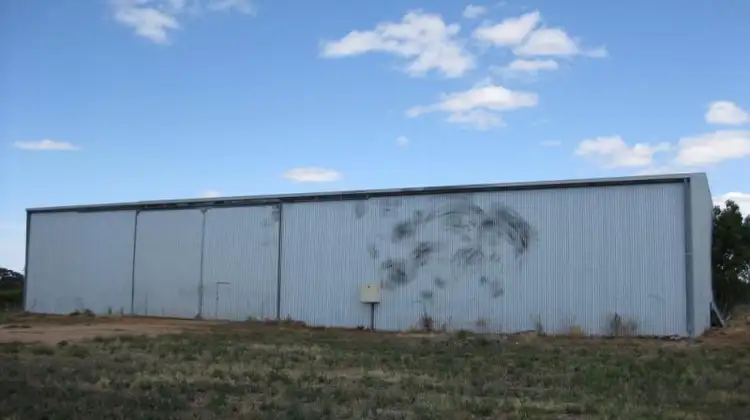 Fourth view of Homely rural property listing, 162 New Guinea Road, Robinvale VIC 3549