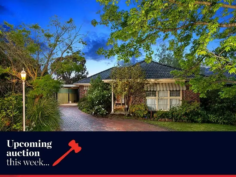 Main view of Homely house listing, 20 Brand Street, Mount Waverley VIC 3149
