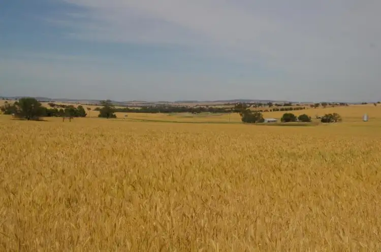 Fifth view of Homely rural property listing, Bronte Lane, Junee NSW 2663