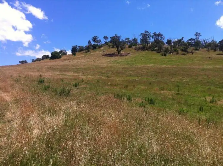 Sixth view of Homely rural property listing, The Knob Kings Road, Dargo VIC 3862