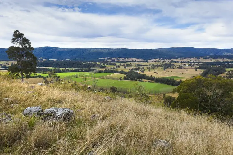 Fifth view of Homely rural property listing, 1295 Chichester Dam Road, Dungog NSW 2420