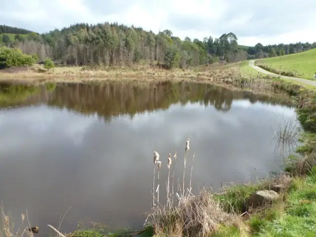 Fourth view of Homely house listing, 517 Sledge Track, Scottsdale TAS 7260