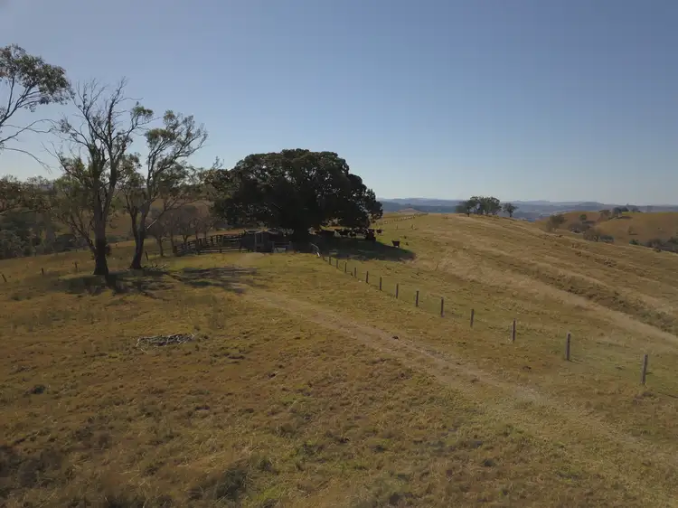 438 Bingleburra Road, Sugarloaf Via, Dungog NSW 2420