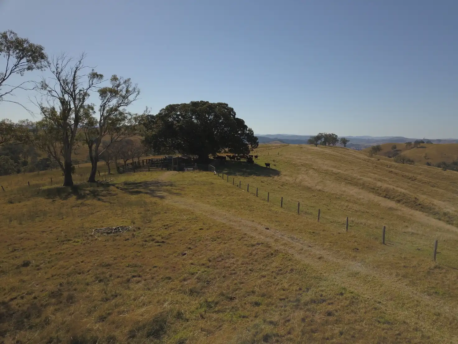 Main view of Homely rural property listing, 438 Bingleburra Road, Sugarloaf Via, Dungog NSW 2420