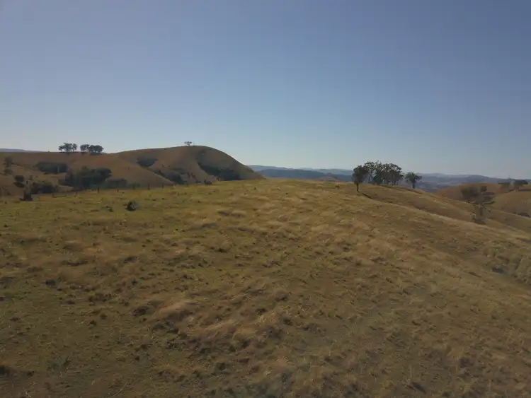 Second view of Homely rural property listing, 438 Bingleburra Road, Sugarloaf Via, Dungog NSW 2420