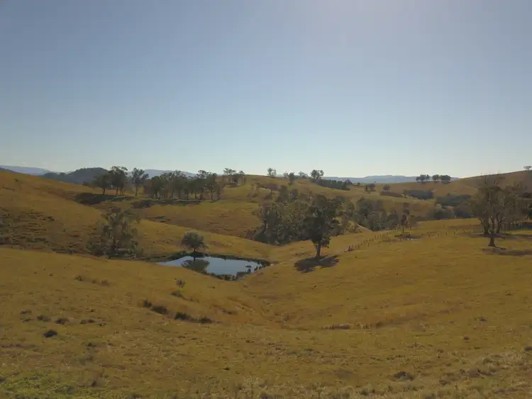 Third view of Homely rural property listing, 438 Bingleburra Road, Sugarloaf Via, Dungog NSW 2420