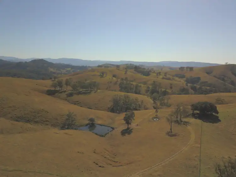 Fifth view of Homely rural property listing, 438 Bingleburra Road, Sugarloaf Via, Dungog NSW 2420