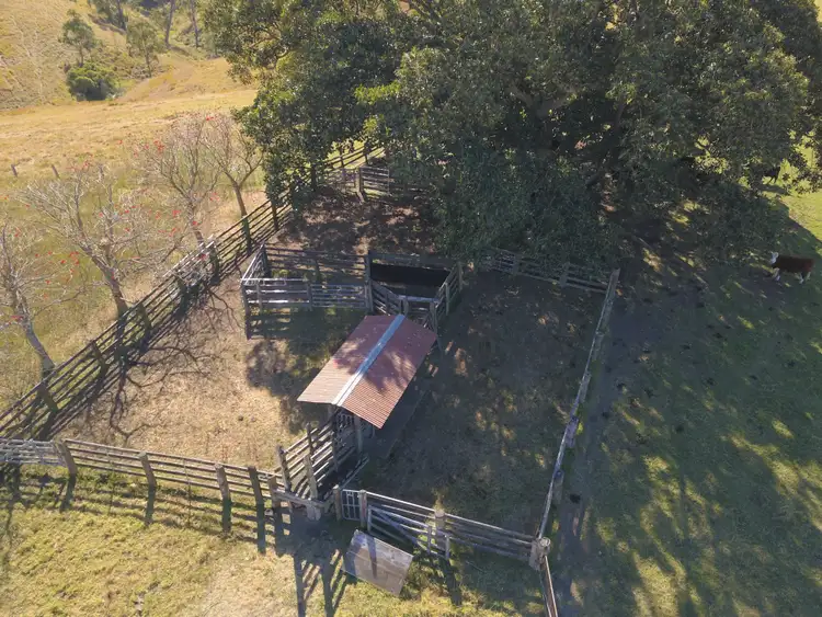 Sixth view of Homely rural property listing, 438 Bingleburra Road, Sugarloaf Via, Dungog NSW 2420