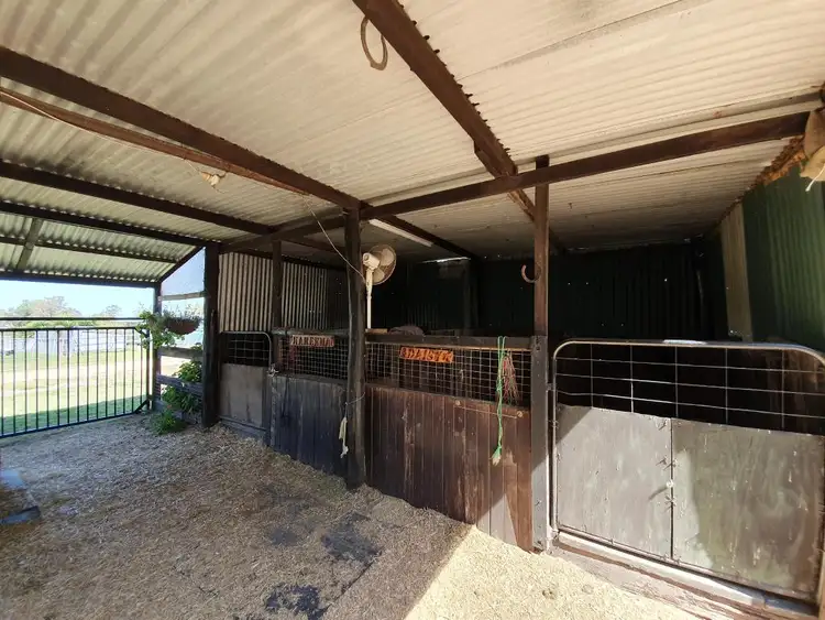Fifth view of Homely rural property listing, 84-86 Pagan Street, Jerrys Plains NSW 2330