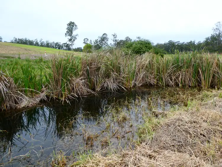 Second view of Homely rural property listing, 73 WHITEBRIDGE ROAD, North Isis QLD 4660