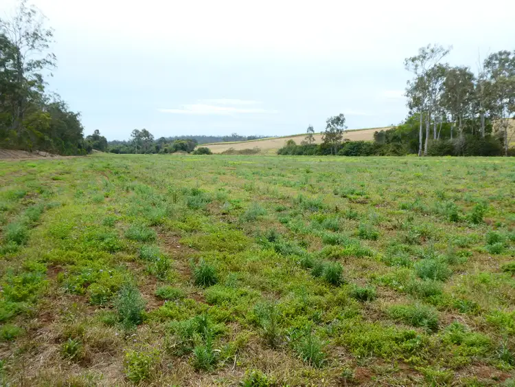 Fourth view of Homely rural property listing, 73 WHITEBRIDGE ROAD, North Isis QLD 4660