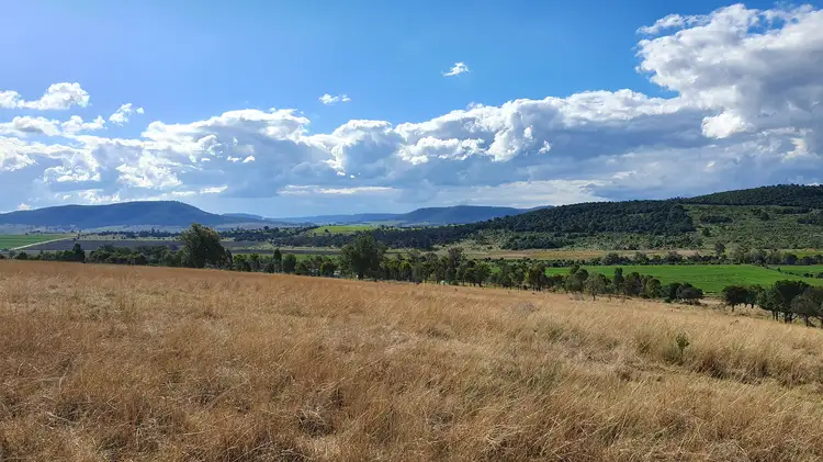 Fourth view of Homely rural property listing, LOT 10 Freestone Road Cnr Payne Road, Freestone QLD 4370