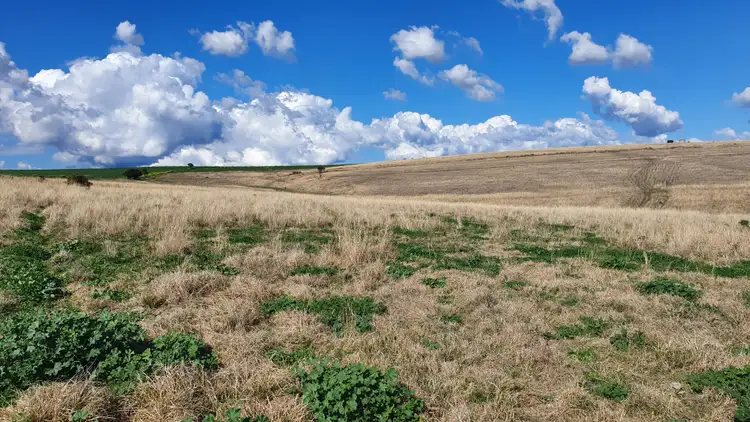 Fifth view of Homely rural property listing, LOT 9 Payne Road, Freestone QLD 4370